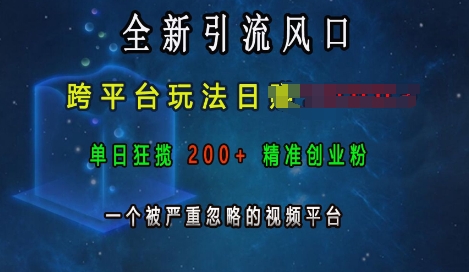 全新引流风口，跨平台玩法日入上k，单日狂揽200+精准创业粉，一个被严重忽略的视频平台-爱来米资源