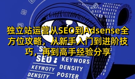 独立站运营从SEO到Adsense全方位攻略，从新手入门到进阶技巧，再到高手经验分享-爱来米资源