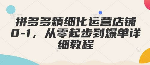 拼多多精细化运营店铺0-1，从零起步到爆单详细教程-爱来米资源