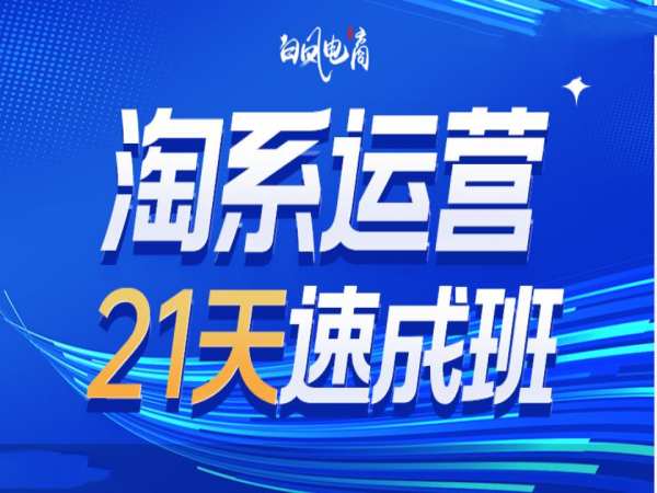 淘系运营21天速成班35期，年前最后一波和2025方向-爱来米资源