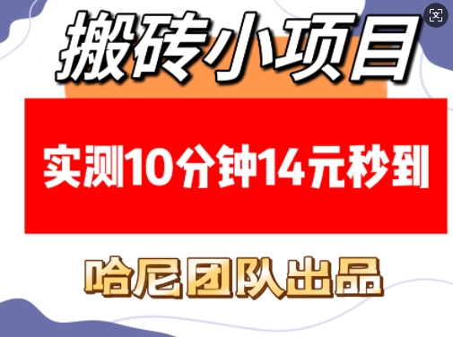 搬砖小项目，实测10分钟14元秒到，每天稳定几张(赠送必看稳定)-爱来米资源