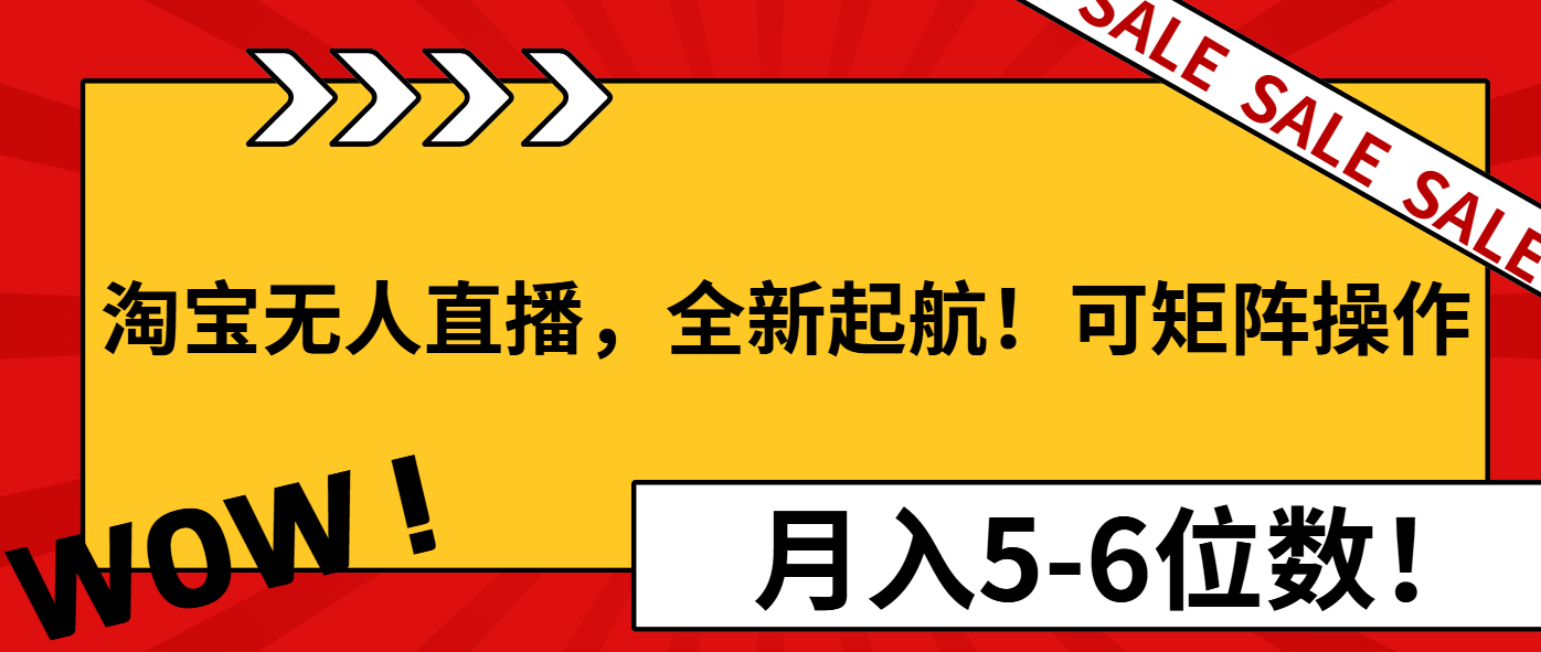 淘宝无人直播，全新起航！可矩阵操作，月入5-6位数！-爱来米资源