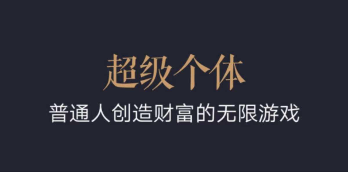 超级个体：2024-2025翻盘指南，普通人创造财富的无限游戏-爱来米资源